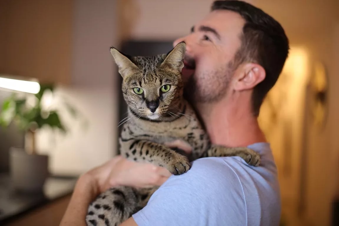 muž chovající savanovou kočku