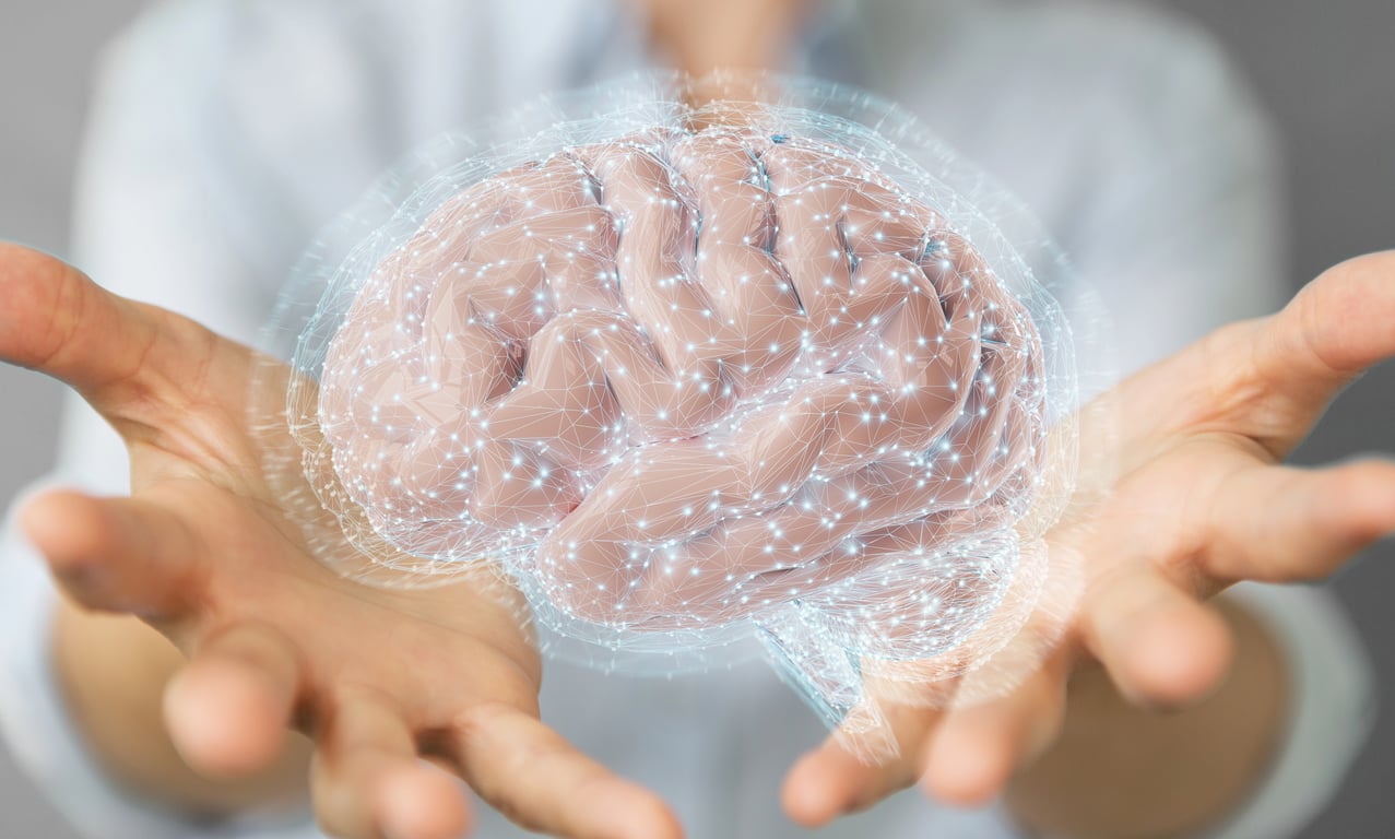 Mozek dospělého člověka umí víc, než si myslíte. A vědci to teď dokázali