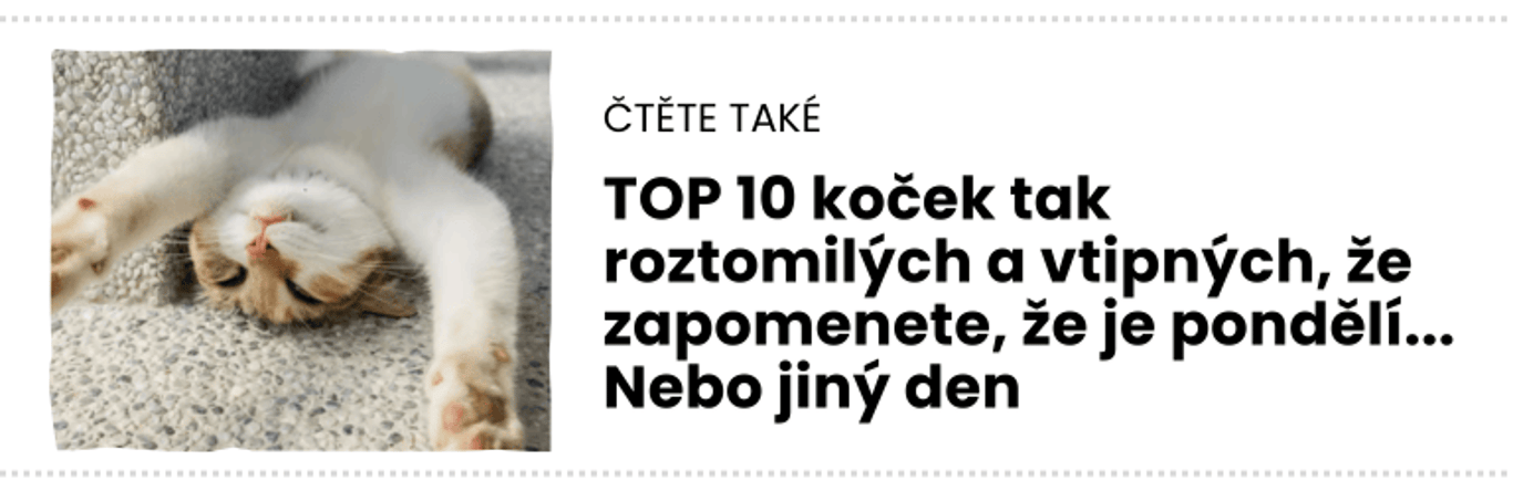 čTĚTE TAKÉ (4)