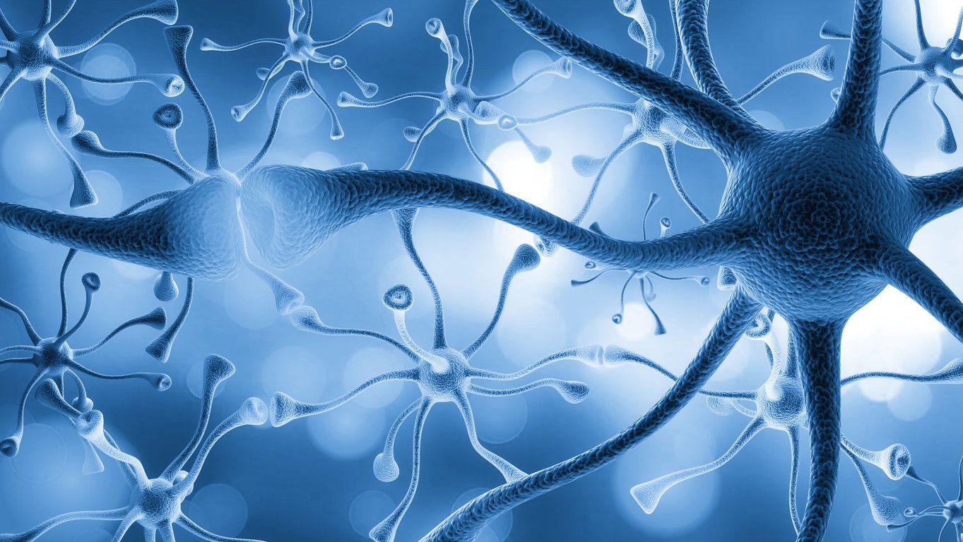Jak krabice od bot s biologickou inteligencí nahradí testování na zvířatech