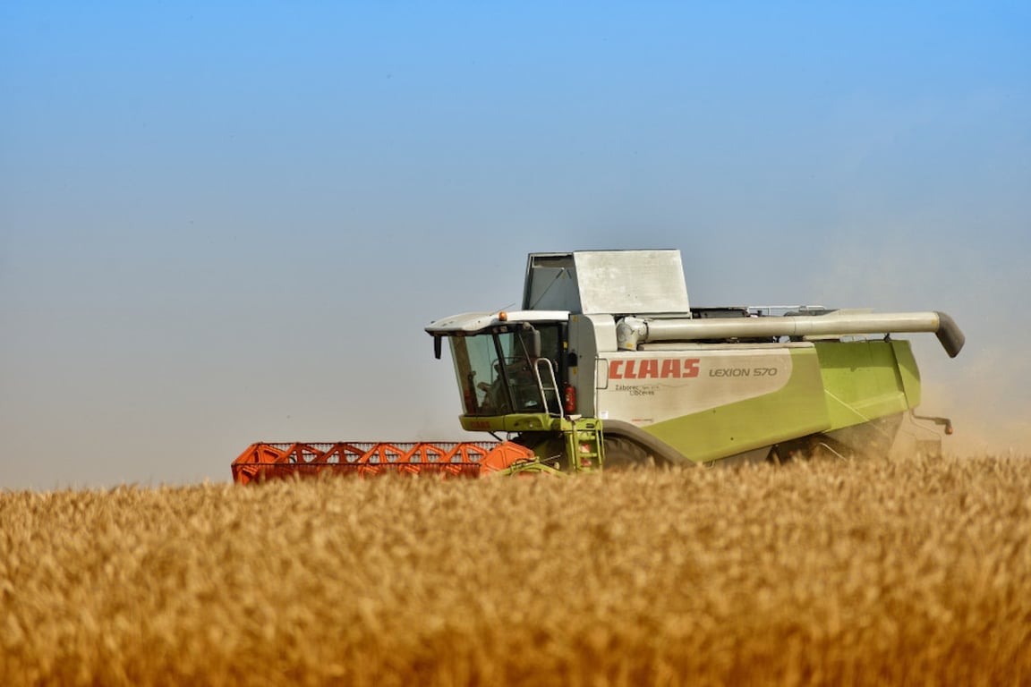 Sklizeň obilí a řepky v Libereckém kraji je teprve ve třetině