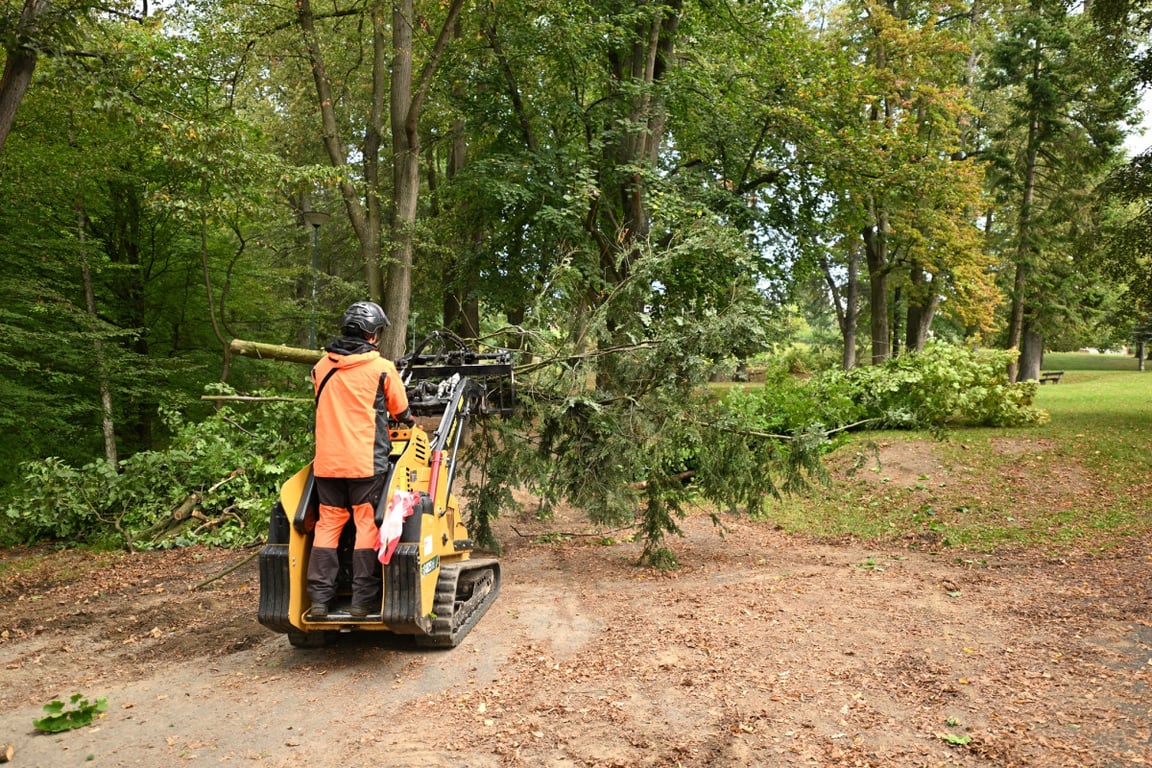 Havlíčkův Brod pokračuje s revitalizací parku Budoucnost, stromy musely jít k zemi