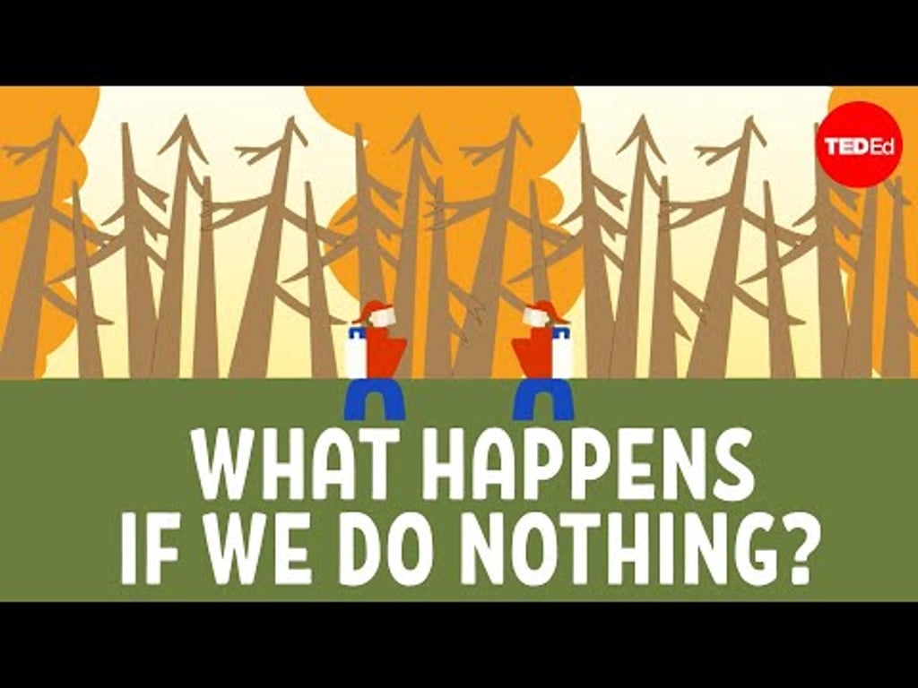 Video k článku ZDE