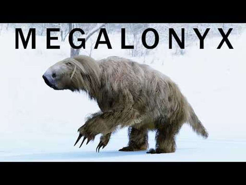 Video k článku ZDE