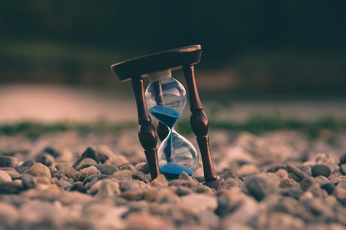 Myslíte si, že budete žít věčně? Tento živočich má k nesmrtelnosti blíž než vy
