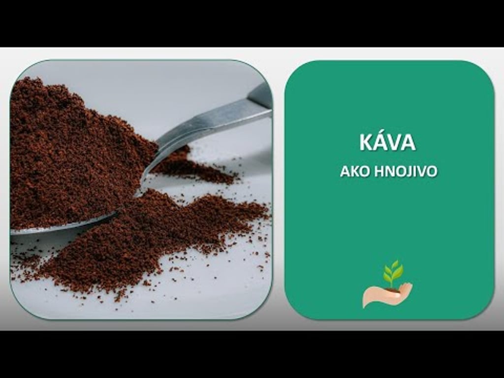 Video k článku