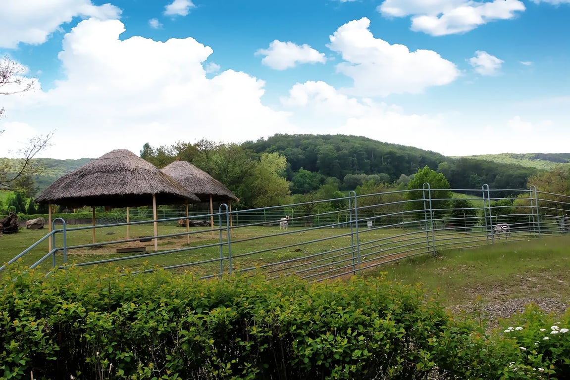 Největší ZOO Evropy mají Češi za rohem. Je překrásná a vstupné směšné