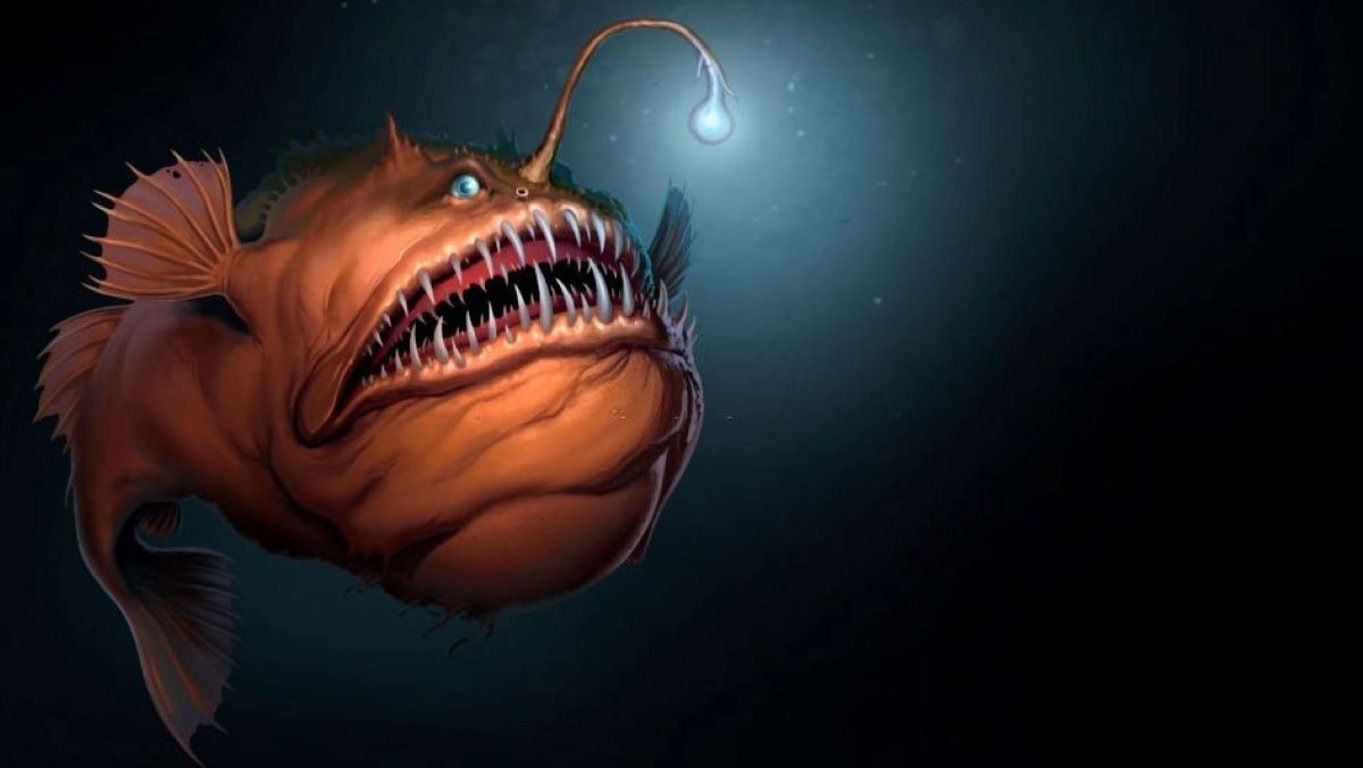 Výprava do nejhlubších míst planety patří k nejdražším zážitkům. Jen bohatí a odvážní si zaplatí pohled do tmy