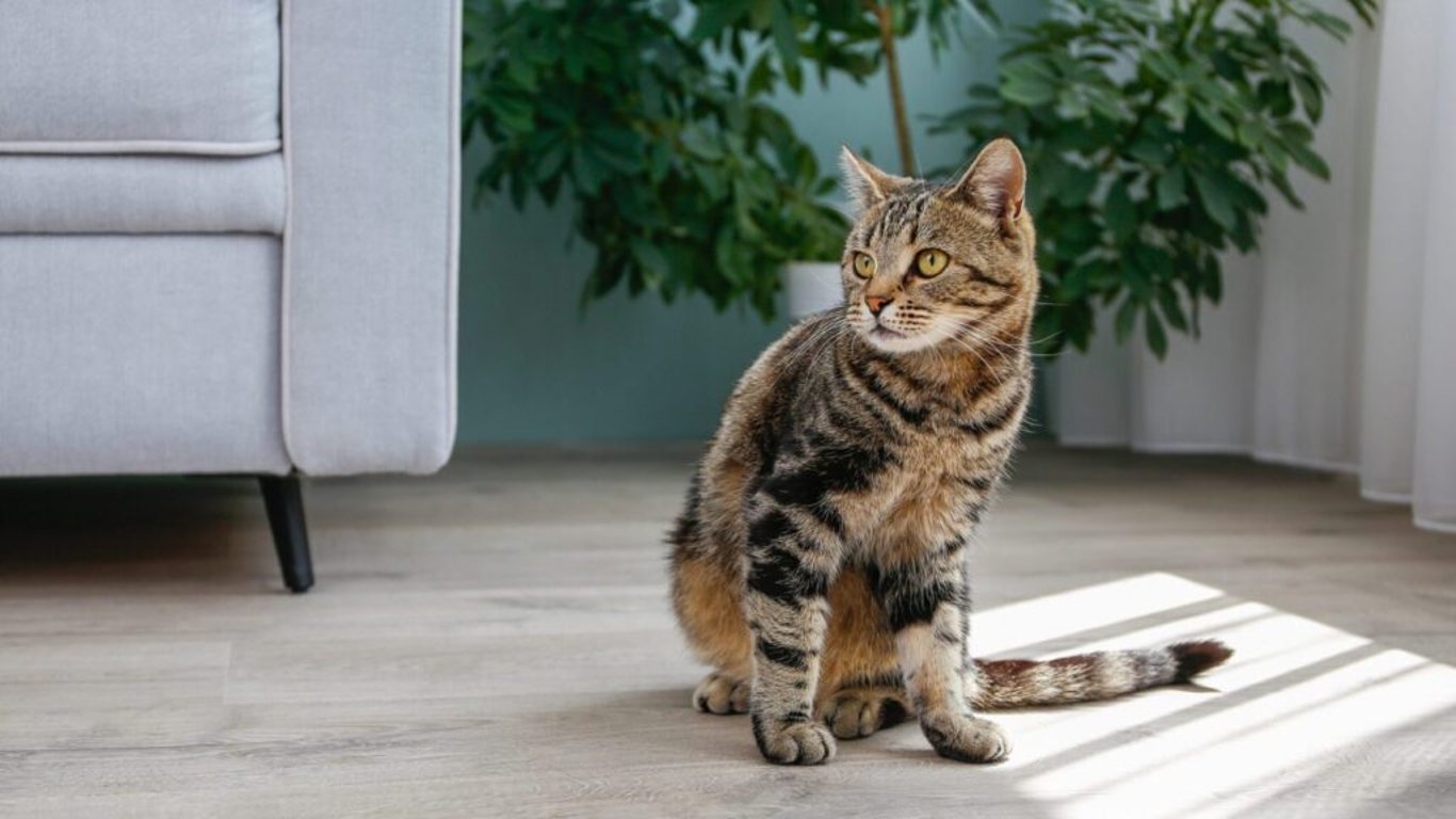 Co z toho plyne pro budoucnost