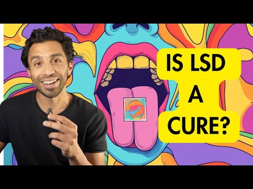 Video k článku ZDE