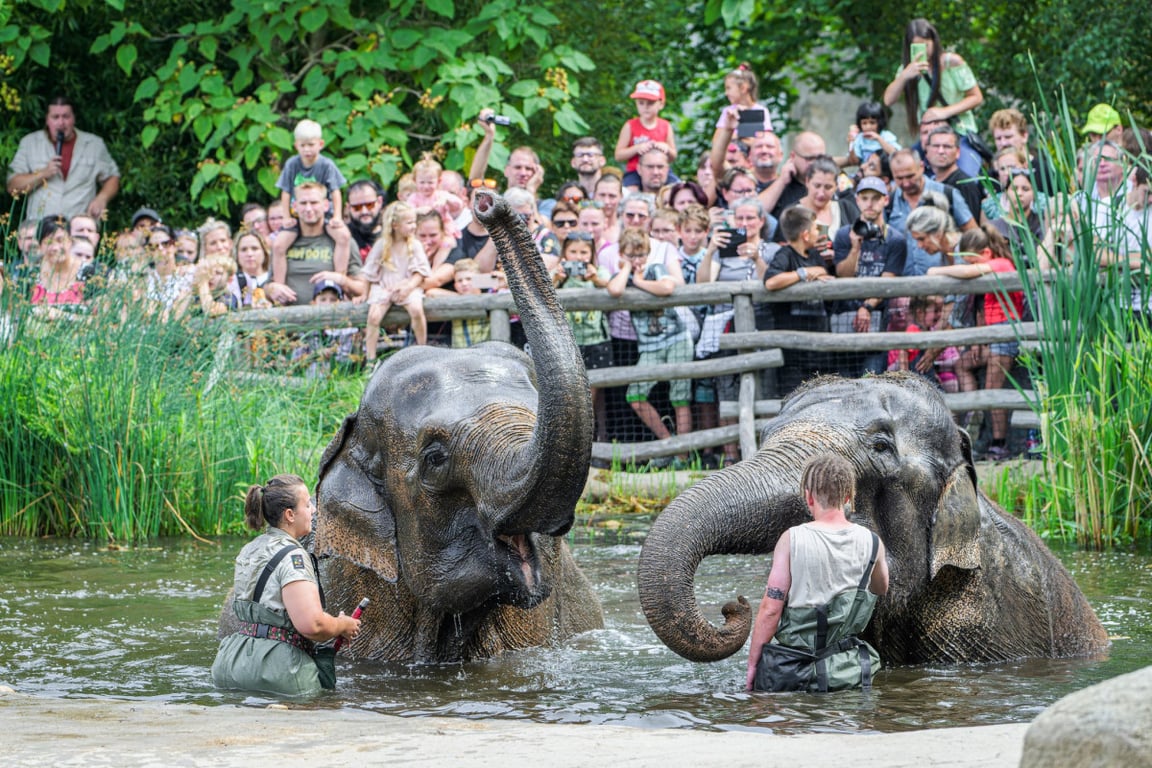 Kontrola situace v zoo se odkládá, Praha zrušila smlouvu s domluvenou firmou