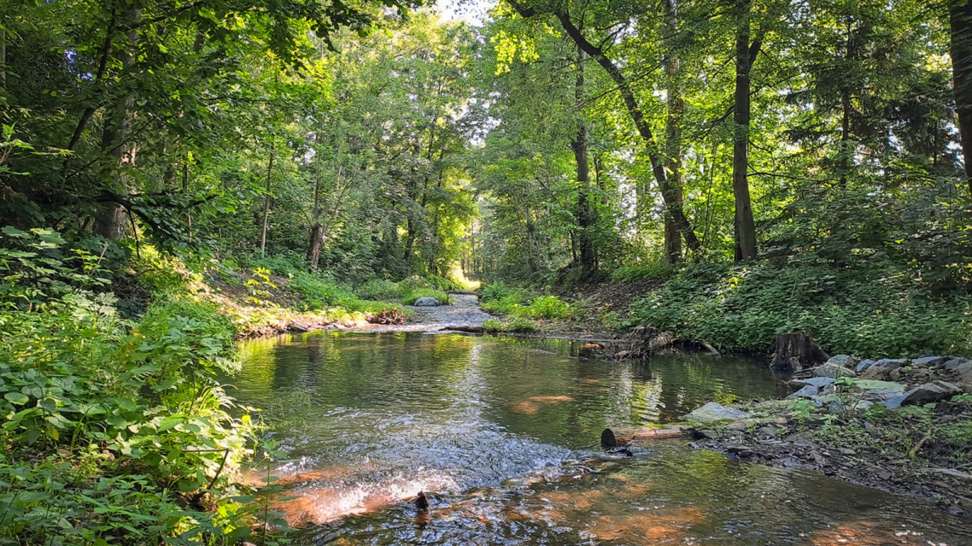 Lesy ČR v Moravskoslezském kraji obnovily koryta Frýdlantské Ondřejnice a Čermné