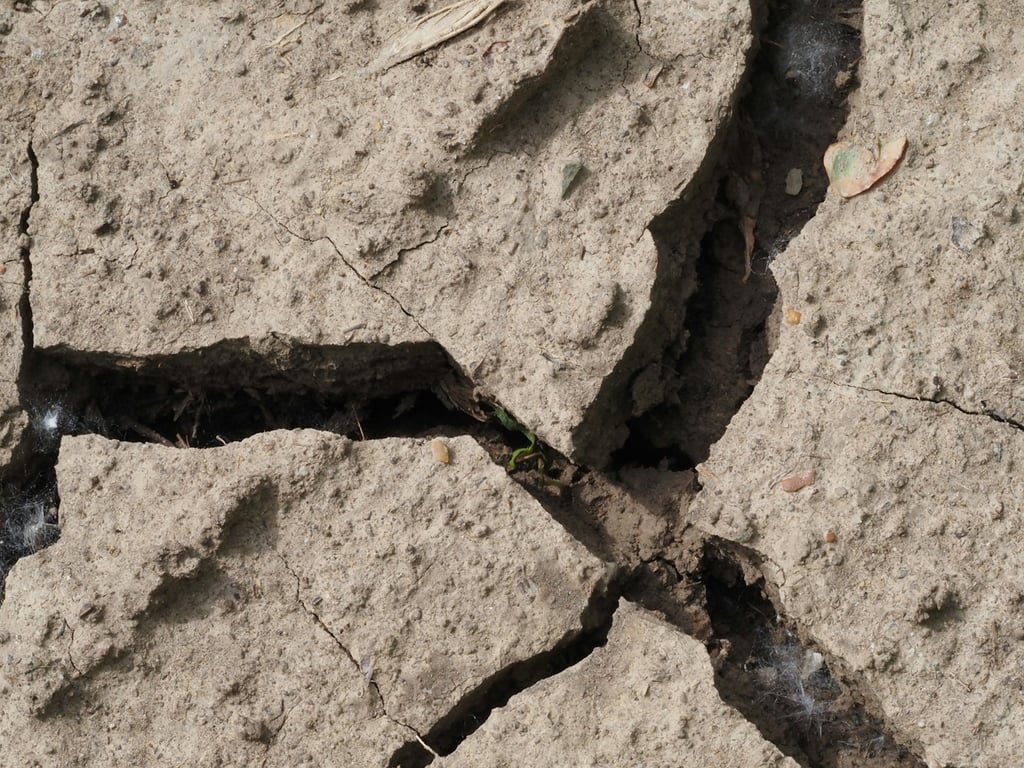 Dvě megazemětřesení za sebou? Nový výzkum odhalil děsivou pravdu