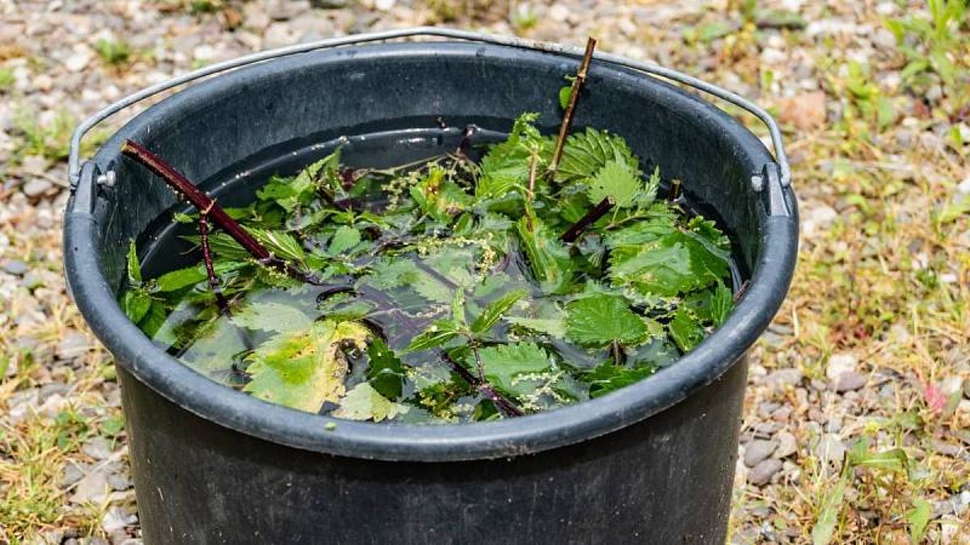 Nachystat kopřivový výluh není náročné připravit
