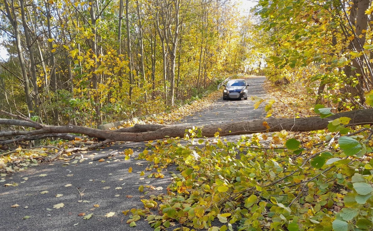 Vítr řádil ve středních Čechách: Hasiči měli od rána 120 výjezdů, stromy padaly na auta