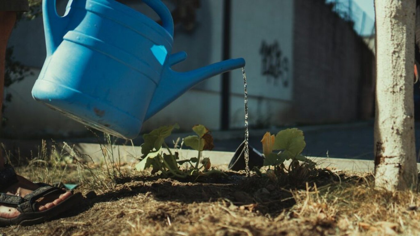 Praktické tipy pro zahrádkáře