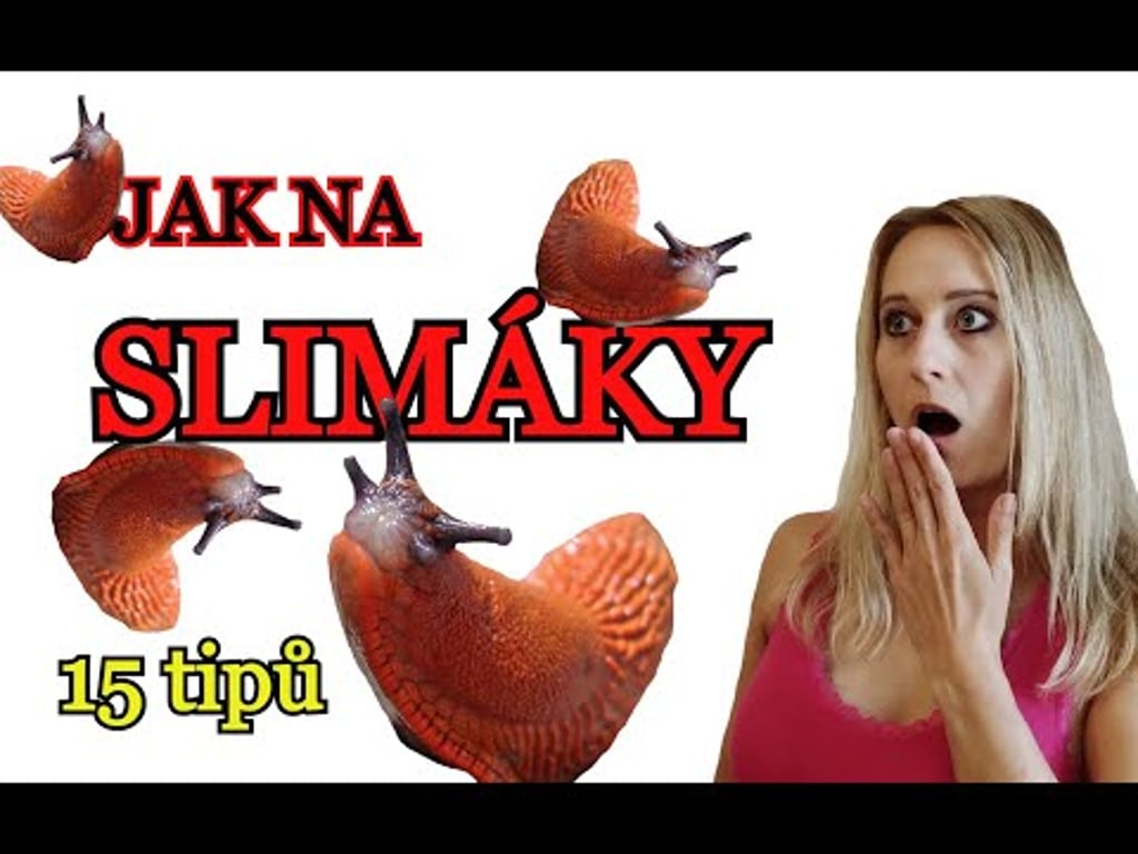 Video k článku