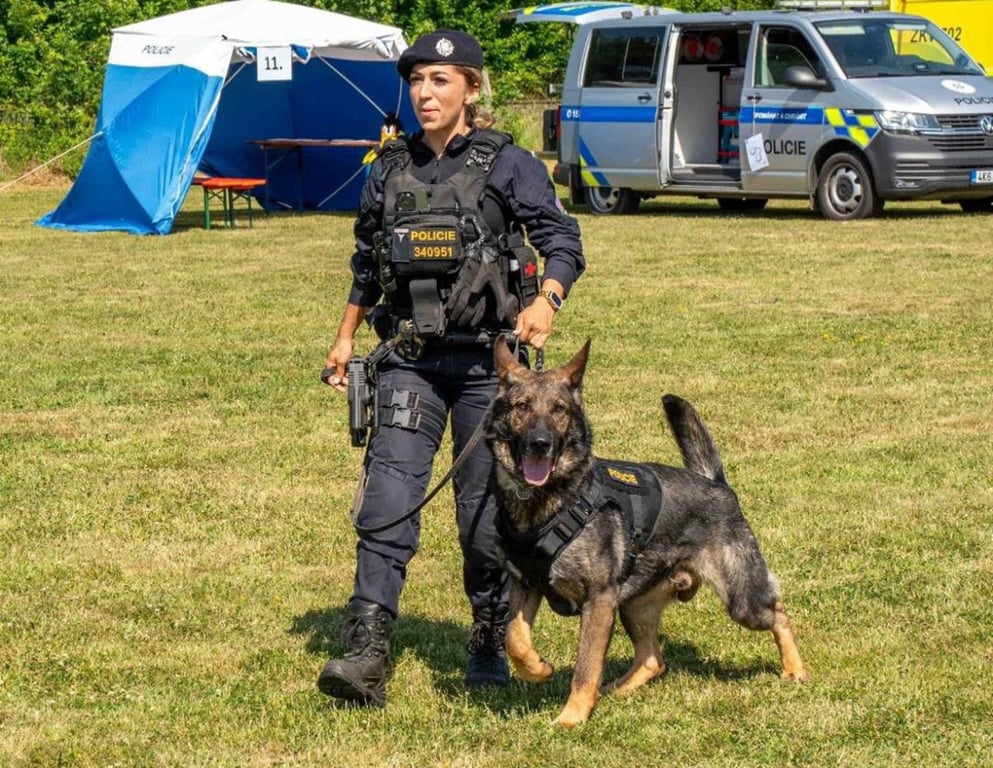 Seniorka byla v lese jen v noční košili a bez bot. Vypátral jí policejní pes