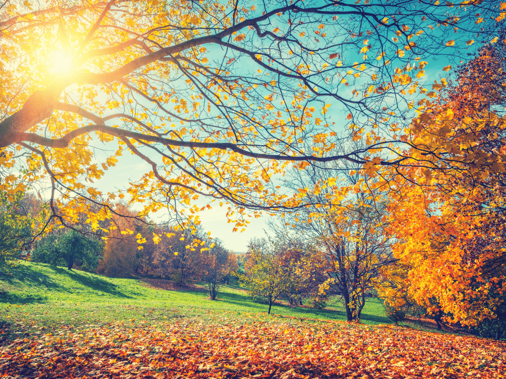 Během víkendu naměříme na východě Čech až 14 stupňů. Dešťové přeháňky dorazí v neděli