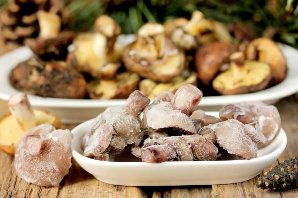 Mykolog radí: Toto je jediný správný postup, jak zamrazit houby. Jinak ztratí chuť a vytvoří jedy