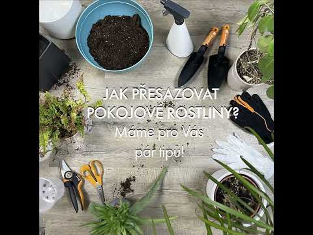 Video k článku