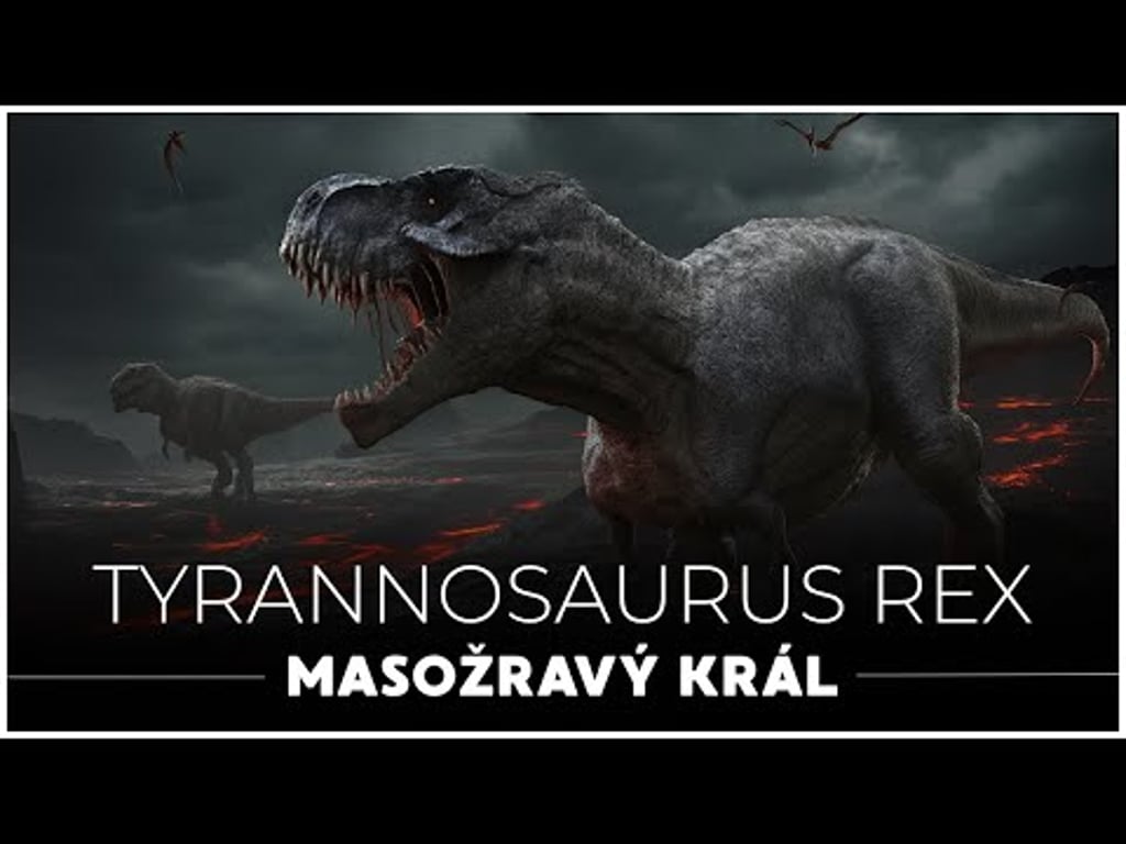 Video k článku ZDE