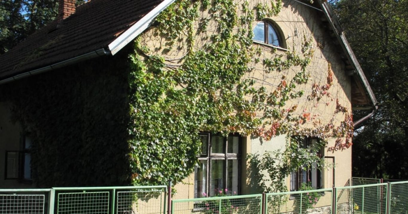 Zarostlý dům byl podle většiny jejich okolí vhodný leda tak ke zbourání. Majitelé ho však přestavěli na luxusní domov
