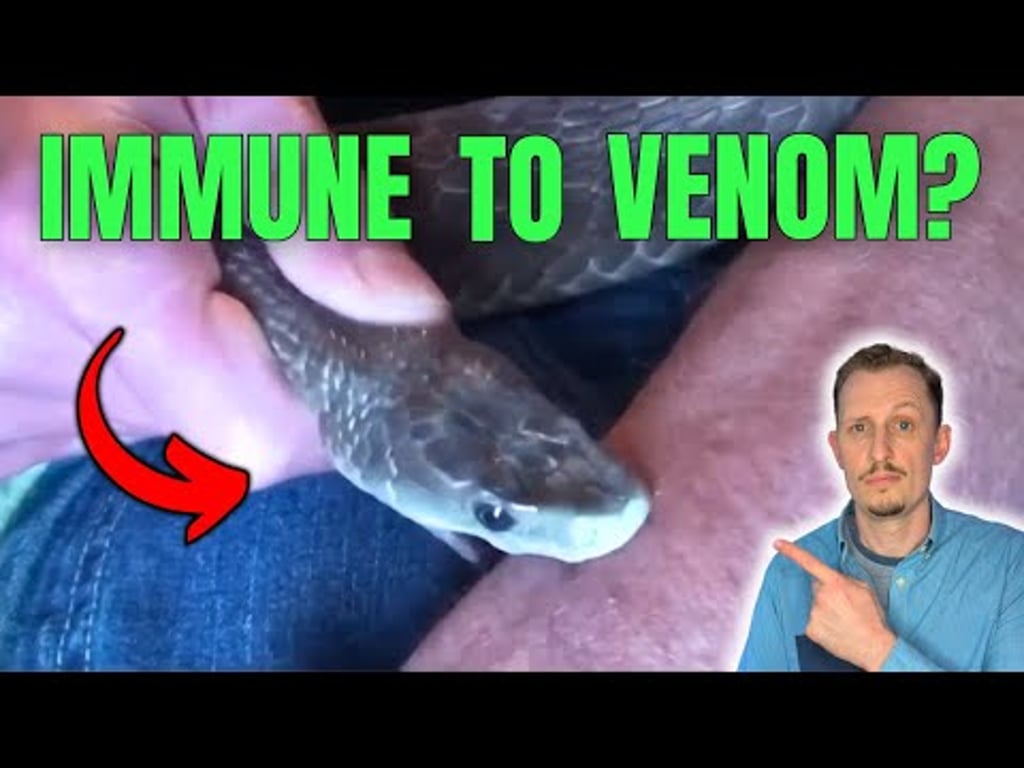 Video k článku ZDE