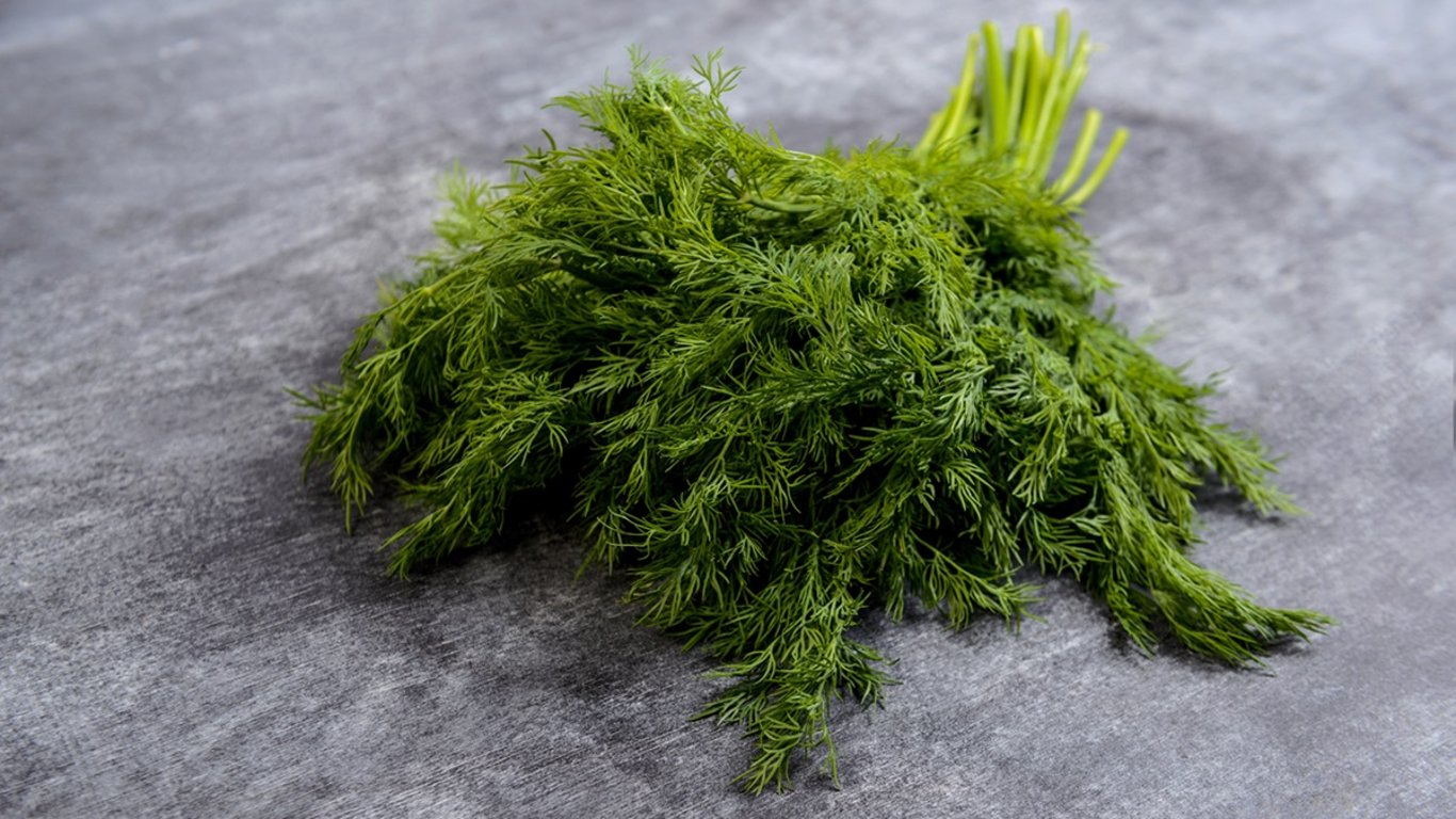 kopr