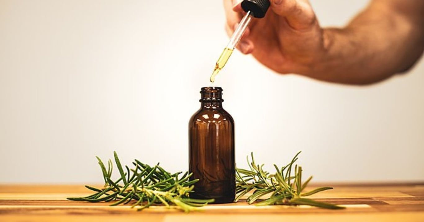 Nenápadný rozmarýn v sobě ukrývá víc, než se zdá. Jeho tajemství znaly už generace před námi