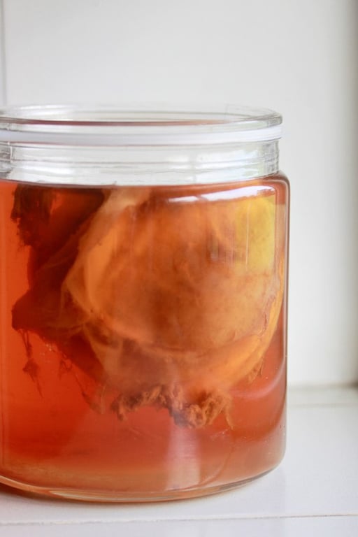 Mezi fermentované nápoje se kromě kefíru řadí například i kombucha.