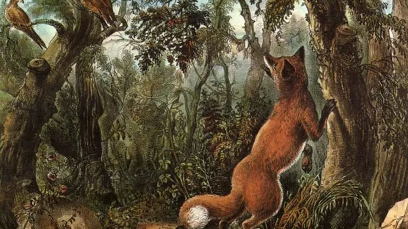 Iluze z roku 1872 prověří všímavost i trpělivost. Kolik skrytých tváří dokážete odhalit?