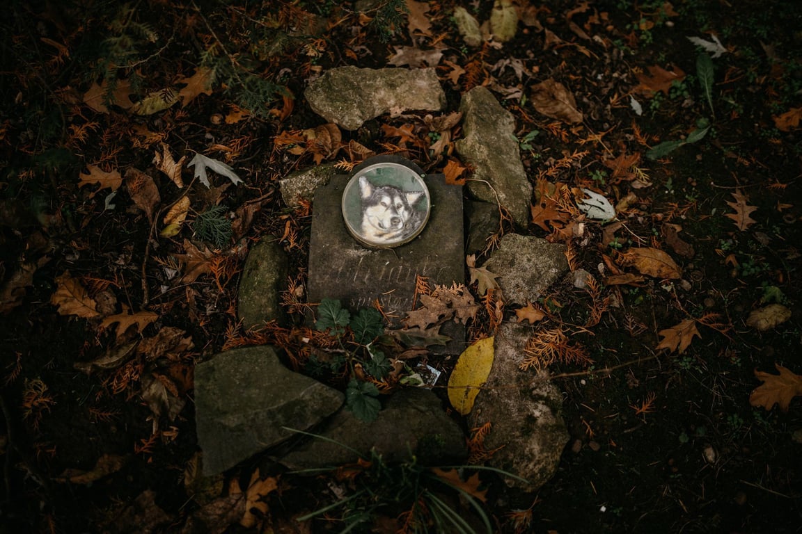 Neobyčejné místo na okraji Prahy: jak vypadá opravdický hřbitov domácích mazlíčků?