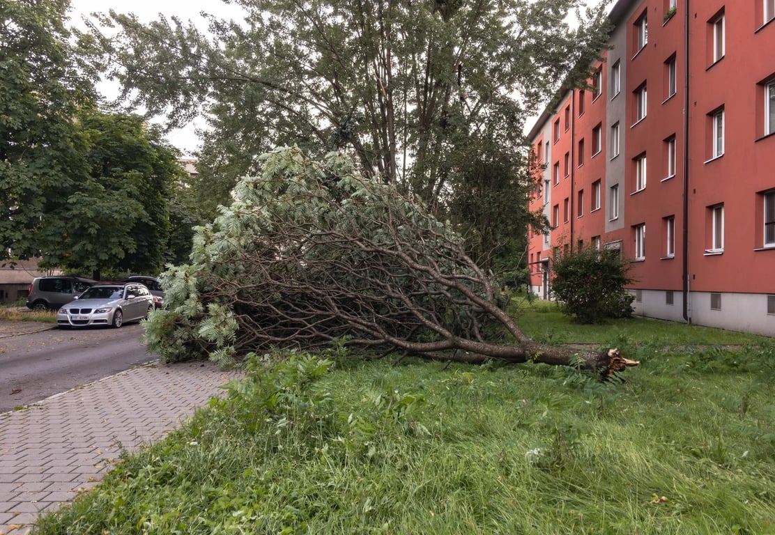Nejhorší den podzimu: Vítr trhá střechy i elektrické vedení. Hasiči mluví o stovkách zásahů