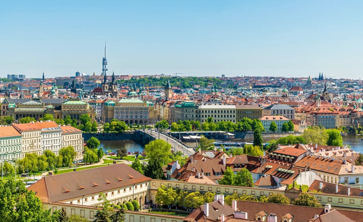 Psi, kteří léčí. Praha má první kavárnu, kde k šálku kávy dostanete i dávku štěstí a klidu