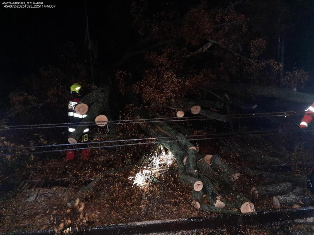 Provoz na trati Praha - Brno je na Blanensku přerušený. Spadlé stromy poškodily trakční vedení