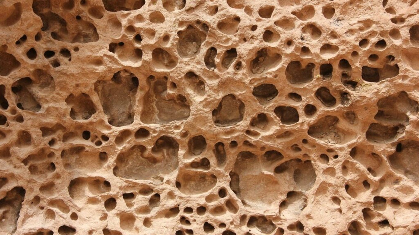 Osteoporóza a vápník