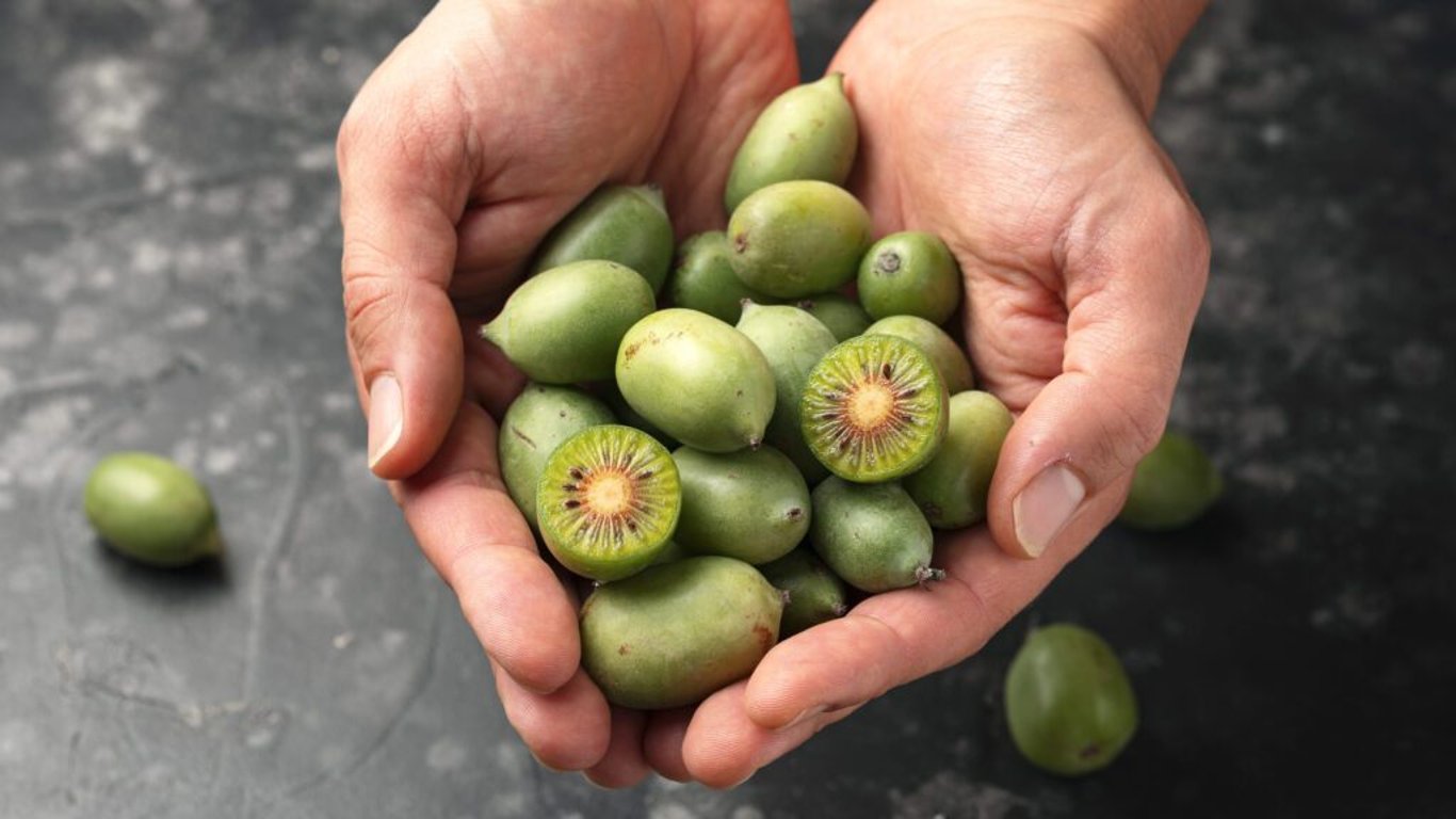 Antioxidanty a protirakovinné látky