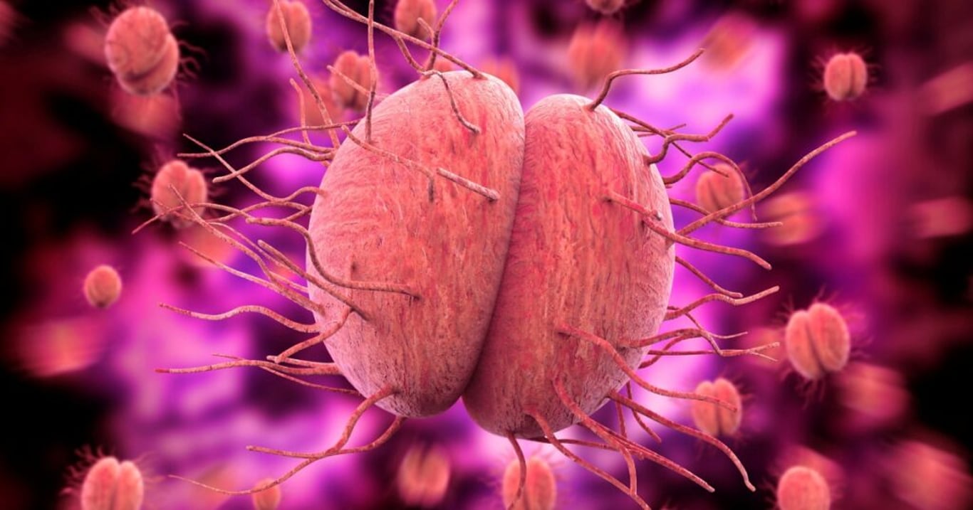 Vaše tělo se vás snaží varovat před nebezpečnou meningitidou pomocí těchto příznaků