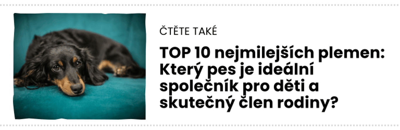 čTĚTE TAKÉ