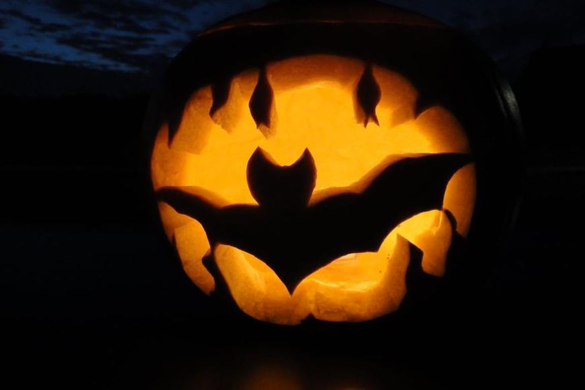 Foto návod: Jak si vyřezat dýňového netopýra? S tímto návodem to zvládne každý