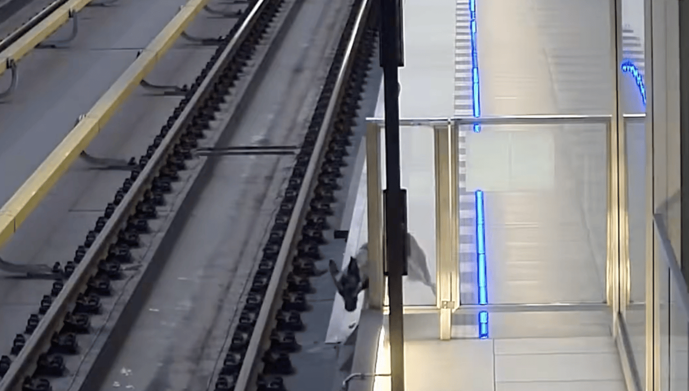 VIDEO: Na půlce metra linky A byl hodiny zastaven provoz, do tunelu vběhl pes