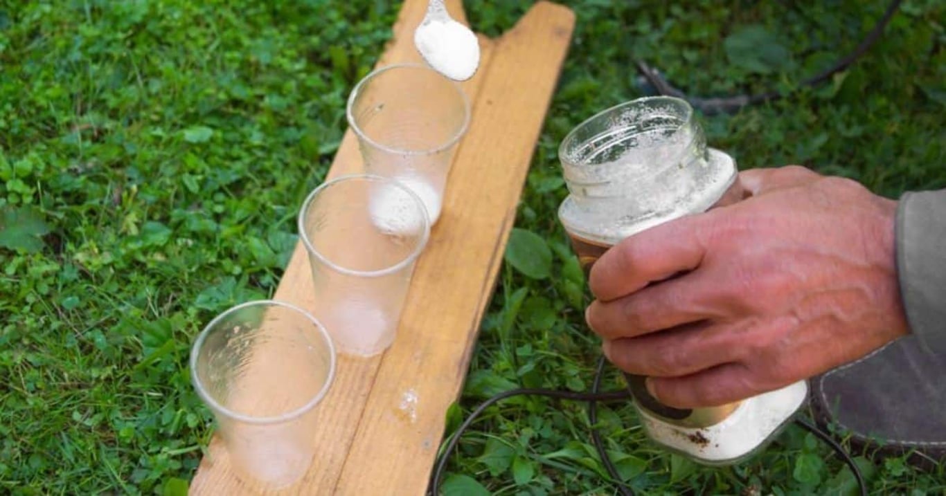 Před odchodem do práce dávám na zahradu lžičku s cukrem. Tenhle nenápadný krok denně zachraňuje životy