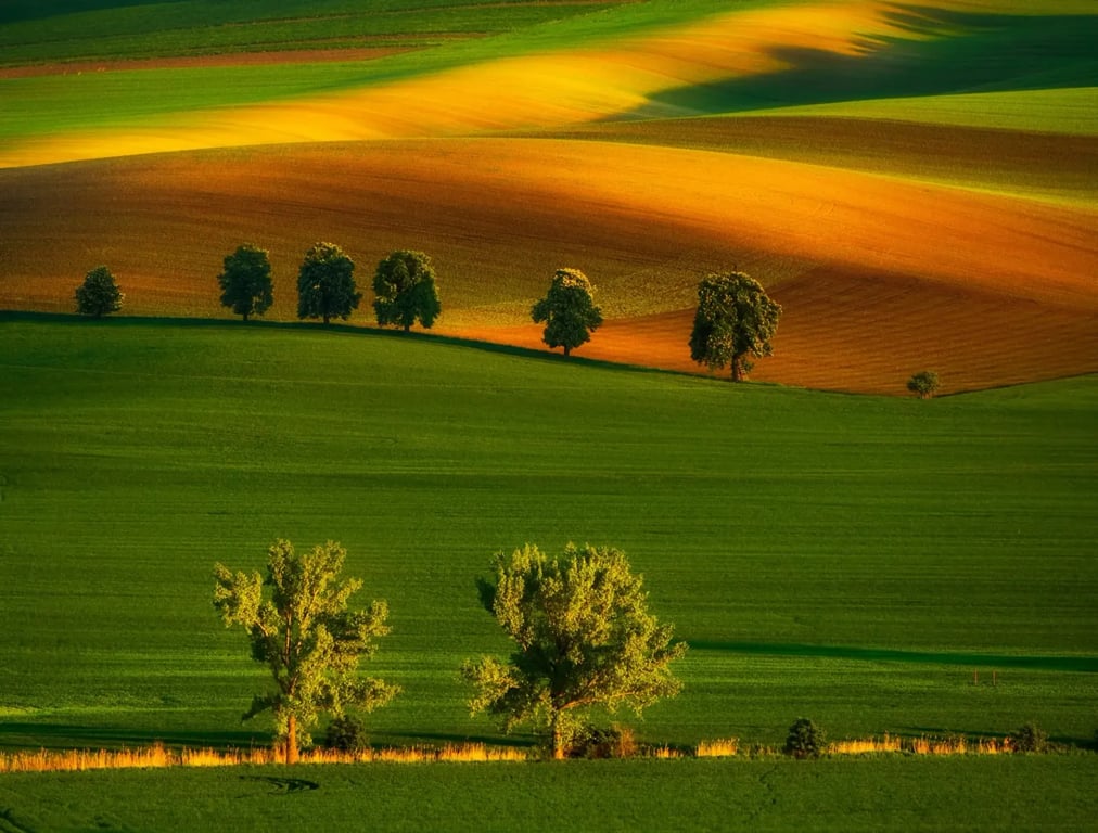 Od takového výhledu se nebudete chtít odtrhnout. Zdroj: Shutterstock