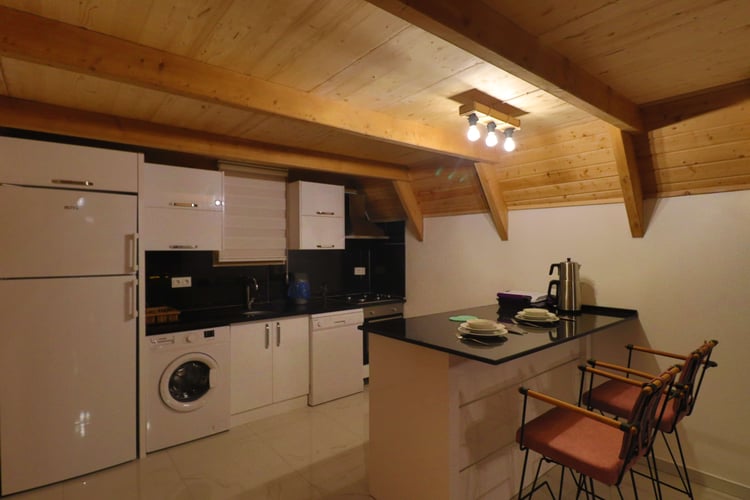 1kiralik-tatil-villasi-villa-askhane- (24).JPG