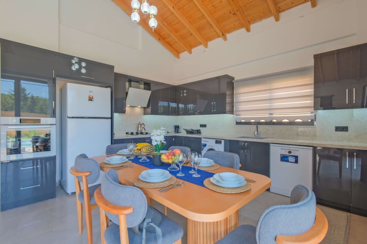 1yazlik-tatil-villasi-villa-doga-1- (20).jpg