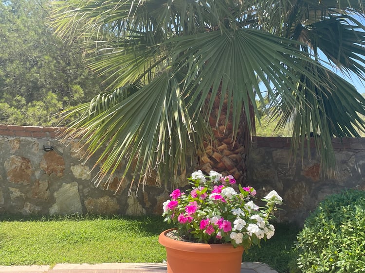 1kiralik-yazlik-villa-villa-orka-four-season-1- (6).jpg