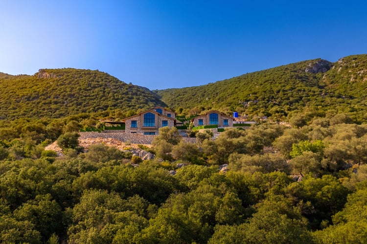 1kiralik-yazlik-villa-villa-buyuk-ada- (6).jpg