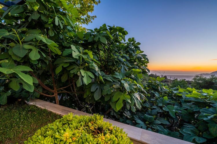 1kiralik-yazlik-villa-villa-stella- (30).jpg