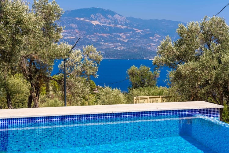 Villa Olive Muarkürü 